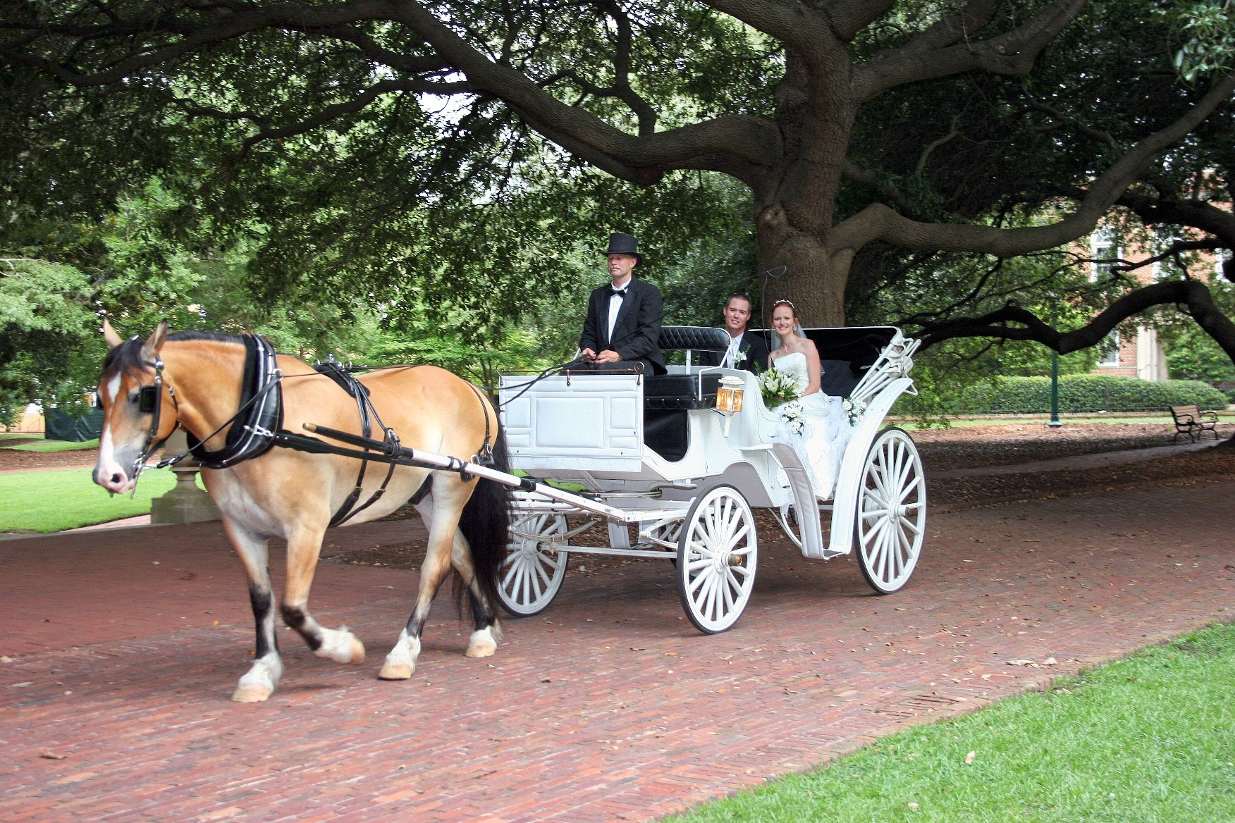 Bride and Groom Horse Carriage